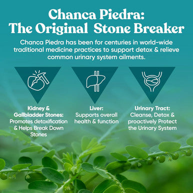 Eu Natural Chanca Piedra Stone Breaker 3-Pack Bundle Natural Dissolver Kidney Cleanse & Gallbladder Supplement Detoxify Urinary Tract Flush Impurities Clear System 180 Capsules