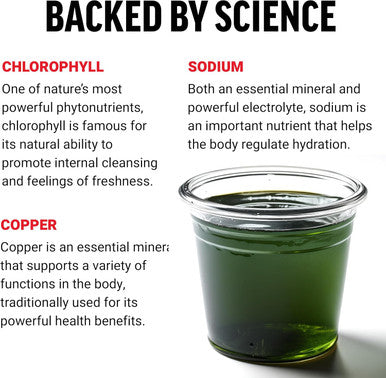 Force Factor Chlorophyll Liquid Body Deodorizing Supplement Freshens Breath and Body Naturally Made with No Artificial Sweeteners or Colors Non-GMO Natural Mint Flavor 16 oz.