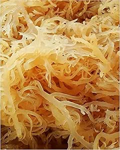 Herbal Vineyards Organic Wildcrafted Raw Gold Irish Sea Moss, 4 oz | Wildcrafted, non-GMO, single-ingredient sea moss; small-batch freshness; simply rinse, soak & blend for gel, smoothies or tea