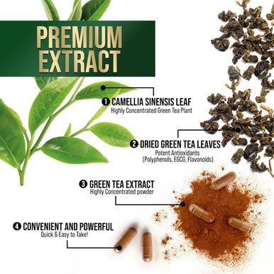 Nature'S Nutrition Green Tea Extract Capsules 1000mg 98% Standardized EGCG - 3X Strength for Natural Energy - Heart Support with Polyphenols - Gentle Caffeine - 240 Capsules