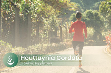 PURE ORIGINAL INGREDIENTS Houttuynia Cordata, (100 Capsules) Always Pure, No Additives Or Fillers, Lab Verified