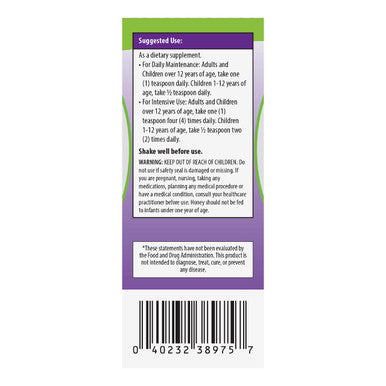 Herbion Naturals Elderberry Syrup 4 fl oz Healthy Immune System for Adults and Children 1 Year Honey Sweetened with Natural Raspberry Flavor No Artificial Ingredients USA. Pack of 2