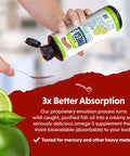 Barlean's Omega Swirl Ultra High Potency Omega-3 Fish Oil Supplement Key Lime 16 Fl Oz