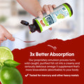 Barlean's Seriously Delicious Omega-3 High Potency Fish Oil Key Lime Pie 16-Oz
