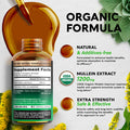NUTRAHARMONY Oregano Oil Drops & Mullein Drops