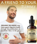 HERBALICIOUS Natural Irish Moss Extract - Organic Drops For Thyroid Function Support, Digestion, Energy Boost - Liquid Dietary Supplement - Vegetarian-Friendly Formula - 4Oz Bottle