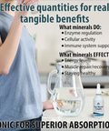 Trace Mineral Complex Full Spectrum Minerals Ionic Liquid Mineral Drops For Water Electrolytes, Hydration Supplement 2 Fl Oz Glass Bottle