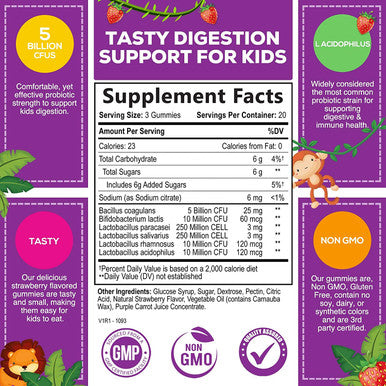 Kids Probiotic Digestive Health & Immune Support Gummies, 5 Billion CFU, Daily Children's Gluten-Free & Non-GMO Chewable Probiotics, Tasty Berry Flavor Gummy with L Acidophilus - 60 Gummies