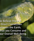 Standard Process Circuplex Whole Food Rna Supplement And Blood Circulation
