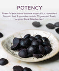 Gaia Herbs Organic Everyday Elderberry Gummies, 80 CT