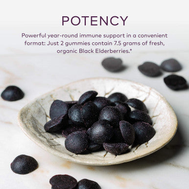 Gaia Herbs Organic Everyday Elderberry Gummies, 80 CT