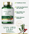 Carlyle Uva Ursi Capsules | 1400Mg | 150 Count | Herbal Leaf Extract | Non-Gmo | Gluten Free Supplement