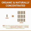 Organic Ashwagandha Capsules KSM66 Ashwagandha KSM 66 USDA Organic Ashwagandha Organic Ashwagandha Root Ashwagandha Extract 100 Natural KSM66 Ashwagandha Supplements 60 Easy Eat Pills