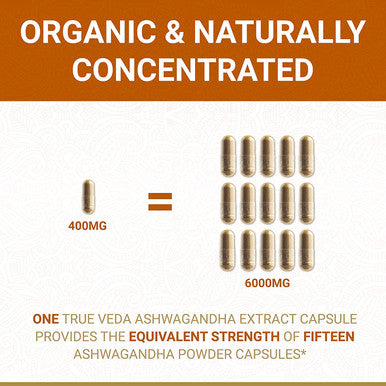 Organic Ashwagandha Capsules KSM66 Ashwagandha KSM 66 USDA Organic Ashwagandha Organic Ashwagandha Root Ashwagandha Extract 100 Natural KSM66 Ashwagandha Supplements 60 Easy Eat Pills