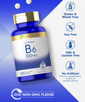Carlyle Vitamin B6 100Mg | 250 Tablets | Vegetarian, Non-Gmo, Gluten Free