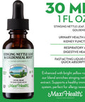 Maxi Health Stinging Nettle Leaf and Goldenseal Root Blend - Alcohol Stinging Nettle Tincture with Organic Nettle Leaf (Urtica Dioica) - Urinary Health Kidney Support - Nettle Extract Liquid Drops 1 fl oz