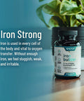 Iron Builder Womens Hair Supplement 2 Products