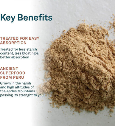 Organika Maca Certified Organic Powder- Gelatinized For High Bioavialability, Hormone Balance, Adaptogen To Help With Stress And Energy - 200 G