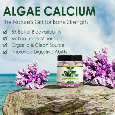 Plant Based Calcium Supplement 600Mg With Vitamin D3 K2, Zinc For Bone Strength, Sustainably Sourced Algae Calcium Magnesium 2:1 Ratio, Sugar Calcium Gummies 70+ Trace Minerals, Vegan, 60 Counts
