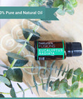 Nature s Fusions Tangerine 100% Pure and Essential Oils 15 mL