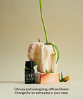 Vitruvi Organic Sweet Orange, 100% Pure Premium Essential Oil (0.3 fl.oz)