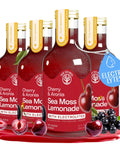 Mango Pink Pepper Sea Moss Electrolyte Lemonade Ã¢â‚¬â€œ Exotic Spiced Hydration Drink Ã¢â‚¬â€œ No Added Sugar with Sea Moss & Electrolytes Ã¢â‚¬â€œ 4 x 12 fl oz Bottles Ã¢â‚¬â€œ Made in USA