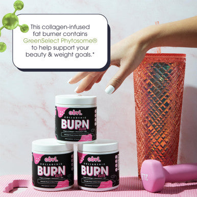 Obvi Burn Elite | Supports Metabolism Boost Energy and Focus | Supplement with Collagen and Green Tea | Supports Healthy Hair Skin Nails and Joints | 60 Capsules 30 Servings