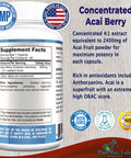 YUMMYVITE Acai Berry Capsules - 4:1 Acai Berry Extract - Equivalent To 2400Mg Per Capsule, Super Antioxidant, Acai Berry Cleanse, 60 Capsules