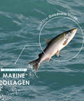 Marine Collagen 1000mg | 60 High Strength Capsules - Wild-Caught Type 1 Hydrolysed Marine Collagen Made with Vitamin C, E, B2, Zinc, Copper, Iodine & Hyaluronic Acid, by Alpha01AÃƒâ€šÃ‚Â®