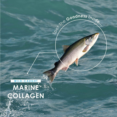 Marine Collagen 1000mg | 60 High Strength Capsules - Wild-Caught Type 1 Hydrolysed Marine Collagen Made with Vitamin C, E, B2, Zinc, Copper, Iodine & Hyaluronic Acid, by Alpha01AÃƒâ€šÃ‚Â®