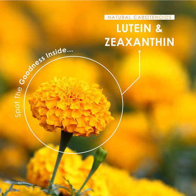 Lutein & Zeaxanthin with BioPerineAÃƒâ€šÃ‚Â® - Natural Carotenoids from Marigold Extract - 40mg Lutein 2.85mg Zeaxanthin - Non GMO, Halal - 90 Vegan Capsules