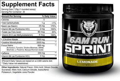 6AM RUN Sprint Pre Workout Powder for Instant Energy Boost for Cardio and Focus No Jitters High Energy Conditioning Formula All Natural Keto Vegan Lemonade Full Bottle