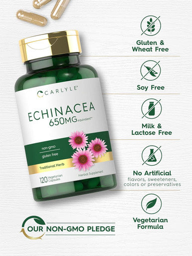 Carlyle Echinacea Capsules 650mg | 120 Count | Non-GMO & Gluten Supplement