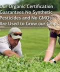 Standard Process Spanish Black Radish - Liver Health Dietary Supplement - Gallbladder Health & Digestion Cleanse Support - Gluten-Free, Non-Dairy & Non-Soy - 30 Tablets