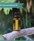 Nature s Fusions Bergamot Essential Oils for Brightening 15 mL