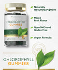 Carlyle Chlorophyll Gummies | 60 Count | Mixed Fruit Flavor | Complex Vegan Supplement | Non-GMO & Gluten