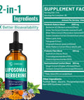 owegel Berberine HCL Supplement with Ceylon Cinnamon - Highly Absorbable Liposomal Berberine Liquid Drops 3000mg- 12 in 1 Natural Ingredients - AMPK Activator - 2 Fl Oz