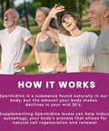 Dr. Emil Nutrition Spermidine 5Mg - Spermidine Supplements For Men & Women - Aging Supplement With Pure Spermidine 3Hcl & Thiamin 20Mg - 60 Capsules, 30 Day Supply