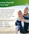 Terry ly CuraMed Plus Clinical OPC - 60 Softgels, Pack of 2 - BCM-95 Curcumin & French Grape Seed VX1 - Supports Brain, Heart, Colon, Breast, Prostate & Liver Health - 60 Total Servings