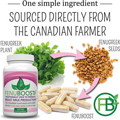 FENUBOOST - Fenugreek Breastfeeding Supplement - 100% Grown & Made in Canada - Lactation Breast Milk Support - 160 count Vegan Capsules