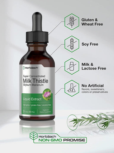 Milk Thistle Extract | 2 fl oz | Alcohol Free | Vegetarian, Non-GMO & Gluten Free Liquid | by Horbaach
