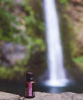 Nature s Fusions Black Spruce Essential Oils Baths 100% Pure(15 mL)