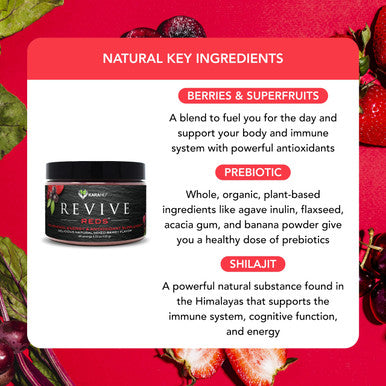 Karamd Revive Reds - Superfood Powder Supplement For Inflammation & Natural Energy - With Shilajit, Antioxidants & Polyphenols - Mixed Berry Flavor - 30 Concentrated Drink Mix Servings