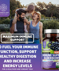 2 Pack N1N Premium 10 in 1 Immune Support Supplement 10 Potent Ingredients with Elderberry Vitamin C Zinc Echinacea Turmeric Curcumin Garlic and Probiotics for Adults 120 Veg Caps