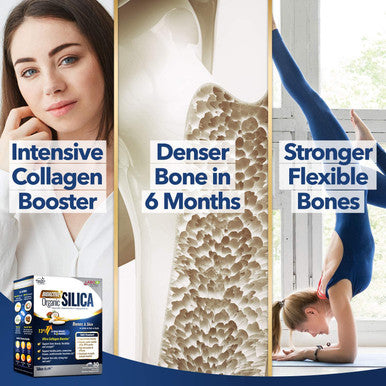 LABO Nutrition Bioactive Organic Silica 99 Purity RiceDerived Silica with 42mg Silicon Per Serving Intensive Collagen Generator Strengthen Joint Bone for Skin Hair Nails Support. 30sx3