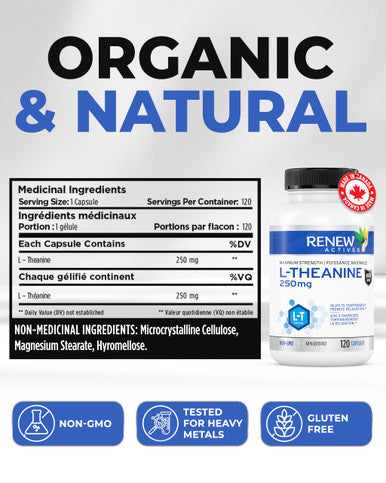 Renew Actives L-Theanine Supplement, 250Mg Max Strength! Promotes Alertness Without Drowsiness. Natural, Fast-Acting Supplements For Less Stress & More Calm, 120 Vegan Capsules, Made In Canada!