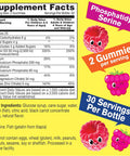 Kid'S Calcium, Magnesium, Zinc + Vitamin D3 Gummies By Wellyeah Bone, Muscle And Nerve Health Support, Immune Support For Men And Women Gluten Free, Non Gmo Raspberry Flavor 60 Count