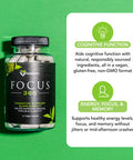 Karamd Focus 365 - Nootropic Brain Supplement For Memory & Focus - With Maca Root, Ginseng, Acetyl L-Carnitine & Green Tea - Vegetable Capsules - 30 Servings (60 Capsules)