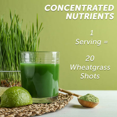 Yuve Organic Wheatgrass Powder, Wheatgrass Juice Powder, Superfood Rich In Vitamins, Antioxidants & Minerals, Non-Gmo & Gluten-Free Wheat Grass Powder, 60 Servs