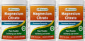 Best Naturals Magnesium Glycinate Powder - 1 Pound (1 LB (Pack of 3))
